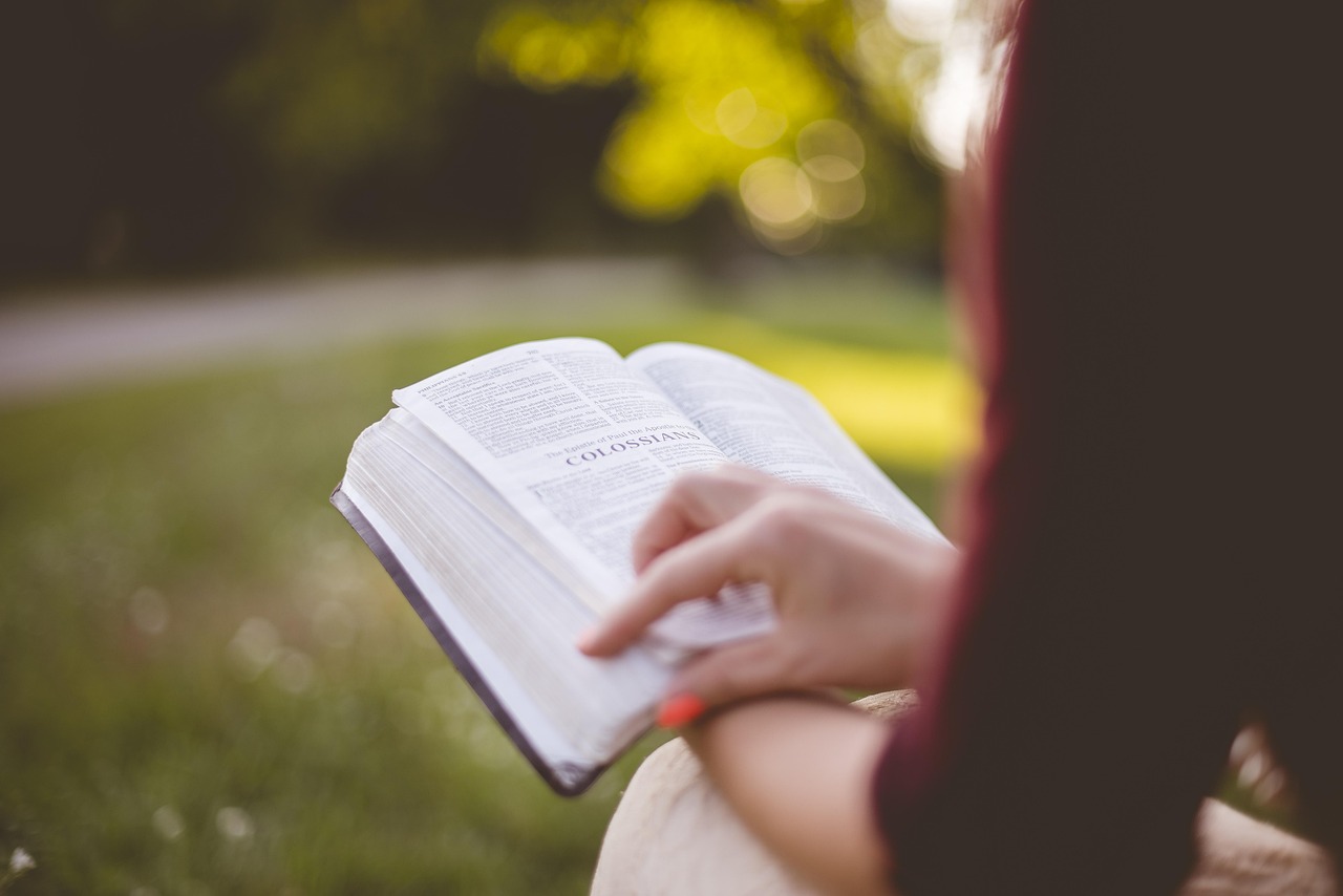 book, college, education, girl, literature, outdoors, paper, park, people, relaxation, summer, woman, nature, reading, study, student, brown book, brown books, brown education, brown paper, brown reading, brown relax, brown study, brown summer, brown park, brown studying